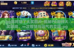 pg麻将胡了大奖图片-揭秘PG麻将大奖瞬间，一次智慧与运气的交锋-pg麻将胡了大奖图片