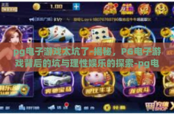 pg电子游戏太坑了-揭秘，PG电子游戏背后的坑与理性娱乐的探索-pg电子游戏太坑了
