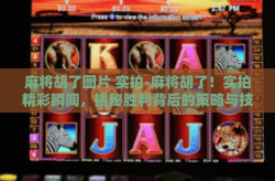 麻将胡了图片 实拍-麻将胡了！实拍精彩瞬间，揭秘胜利背后的策略与技巧-麻将胡了图片 实拍
