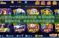 电子pg游戏辅助软件挂-电子PG游戏辅助软件挂，挑战与风险并存的新型辅助工具-电子pg游戏辅助软件挂