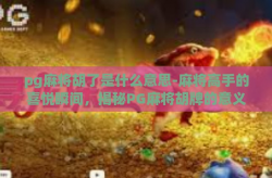 pg麻将胡了是什么意思-麻将高手的喜悦瞬间，揭秘PG麻将胡牌的意义-pg麻将胡了是什么意思