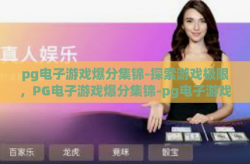 pg电子游戏爆分集锦-探索游戏极限，PG电子游戏爆分集锦-pg电子游戏爆分集锦