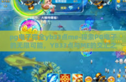 pg电子完全yb33点me-探索PG电子的无限可能，YB33点与ME的交汇之谈-pg电子完全yb33点me