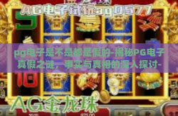 pg电子是不是都是假的-揭秘PG电子真假之谜，事实与真相的深入探讨-pg电子是不是都是假的