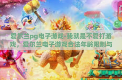 爱尔兰pg电子游戏-我就是不爱打游戏，爱尔兰电子游戏合法年龄限制与公众对PG游戏的态度-爱尔兰pg电子游戏