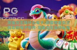 赏金女王是什么电子-探索赏金女王背后的电子世界-赏金女王是什么电子