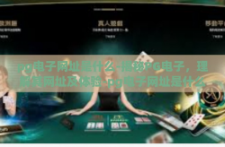 pg电子网址是什么-揭秘PG电子，理解其网址及体验-pg电子网址是什么