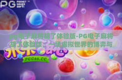 pg电子麻将胡了体验版-PG电子麻将胡了体验版，一场虚拟世界的博弈与享受-pg电子麻将胡了体验版