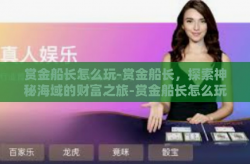 赏金船长怎么玩-赏金船长，探索神秘海域的财富之旅-赏金船长怎么玩