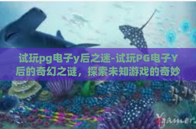 初尝未知，与网络探索的启蒙